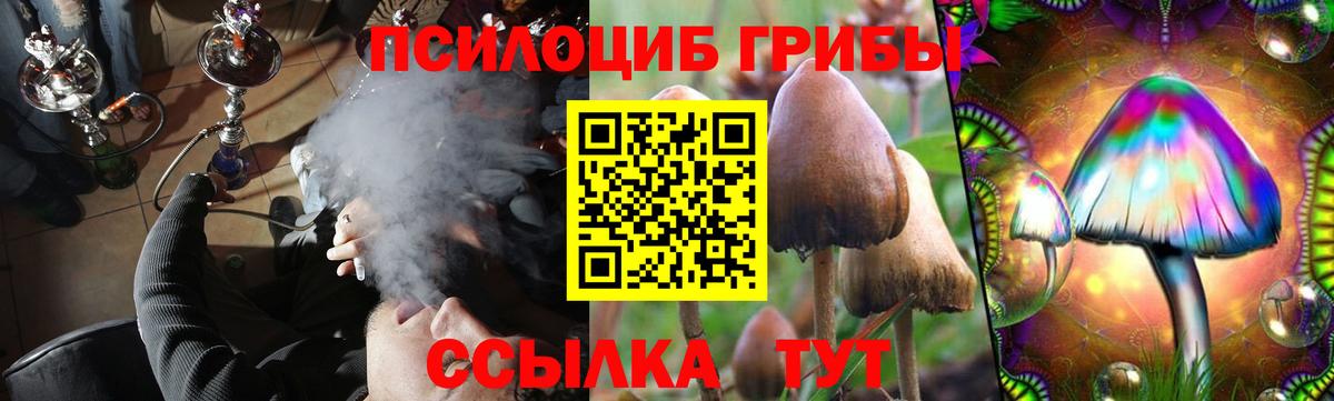 Галлюциногенные грибы мухоморы Горячий Ключ